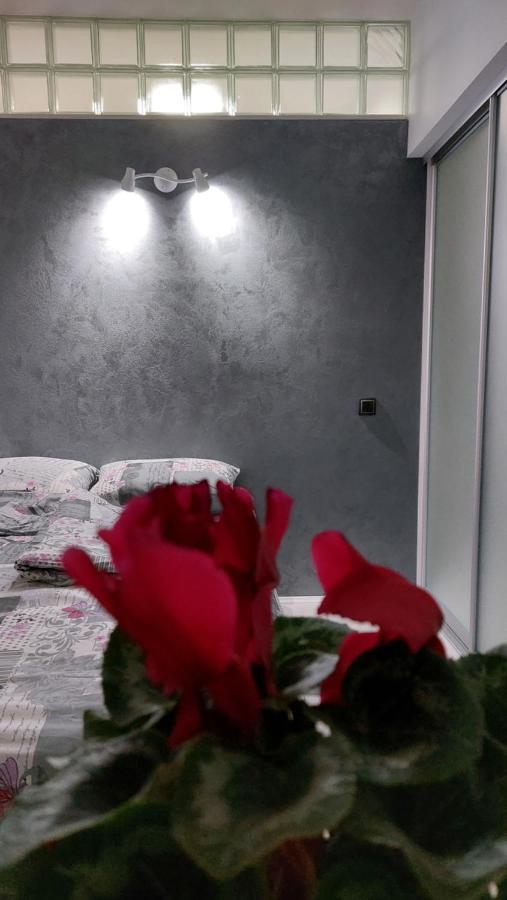 Apartman 23 Beograd Ngoại thất bức ảnh