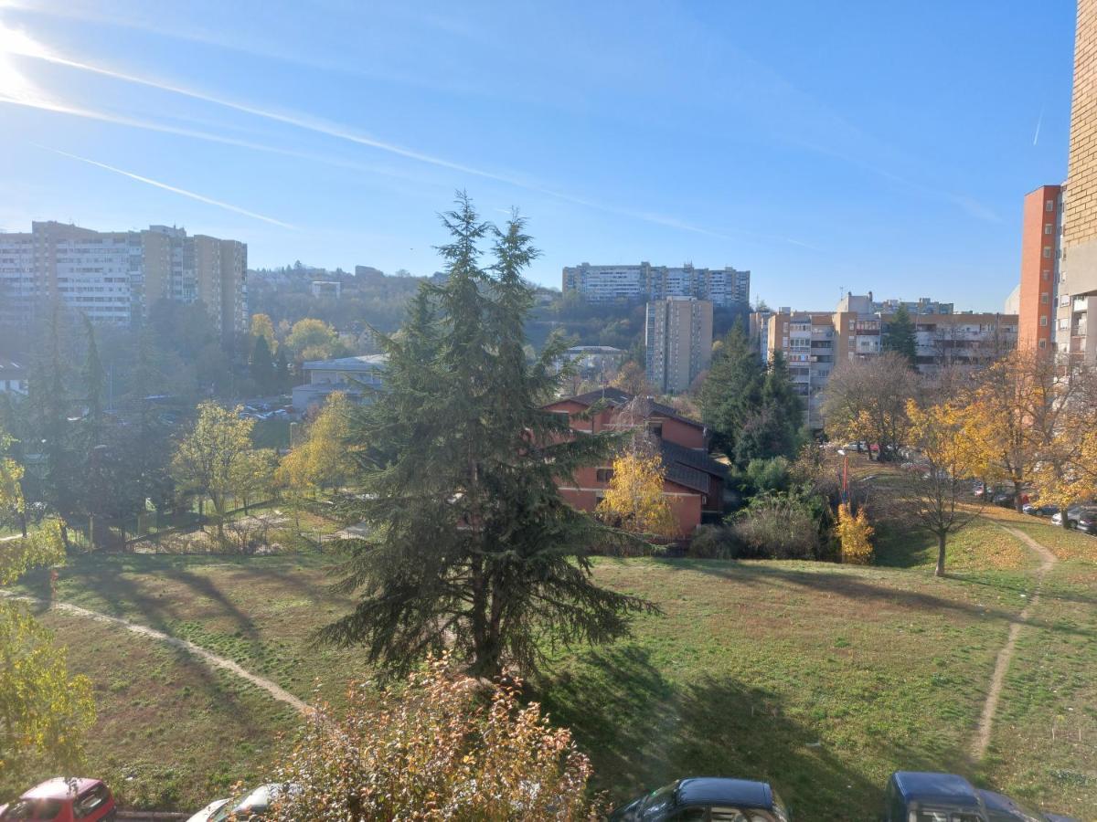 Apartman 23 Beograd Ngoại thất bức ảnh
